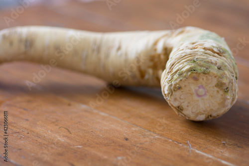 Close up of an Horseradish (Armoracia rusticana, syn. Cochlearia armoracia) root vegetable, cultivated and used worldwide as a spice and as a condiment photo