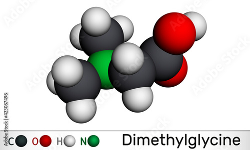 Dimethylglycine, DMG, N,N-dimethylglycine molecule. It is derivative of the amino acid glycine. Molecular model. 3D rendering photo