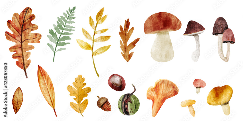 Watercolor set of autumn leaves and mushrooms Watercolor set of autumn leaves and mushrooms