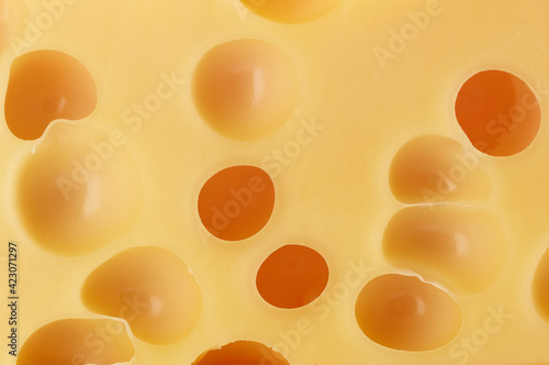 Texture of cheese with holes close up