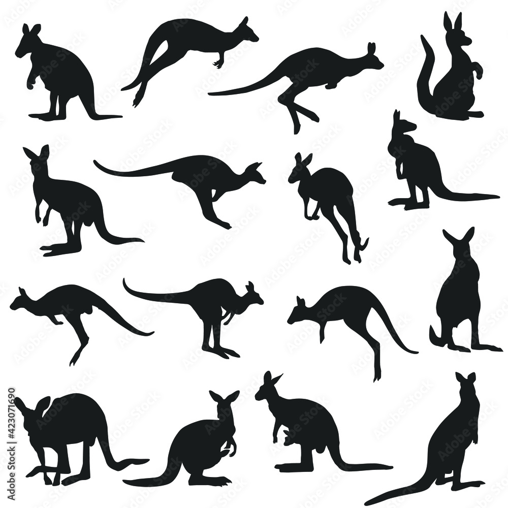 Kangaroo Silhouette Animal Illustration. Vector icons famous animals in Australia. 