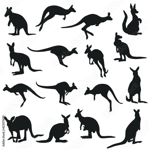 Kangaroo Silhouette Animal Illustration. Vector icons famous animals in Australia. 