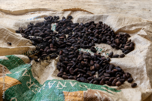 fresh roasted Cacao Beans  photo