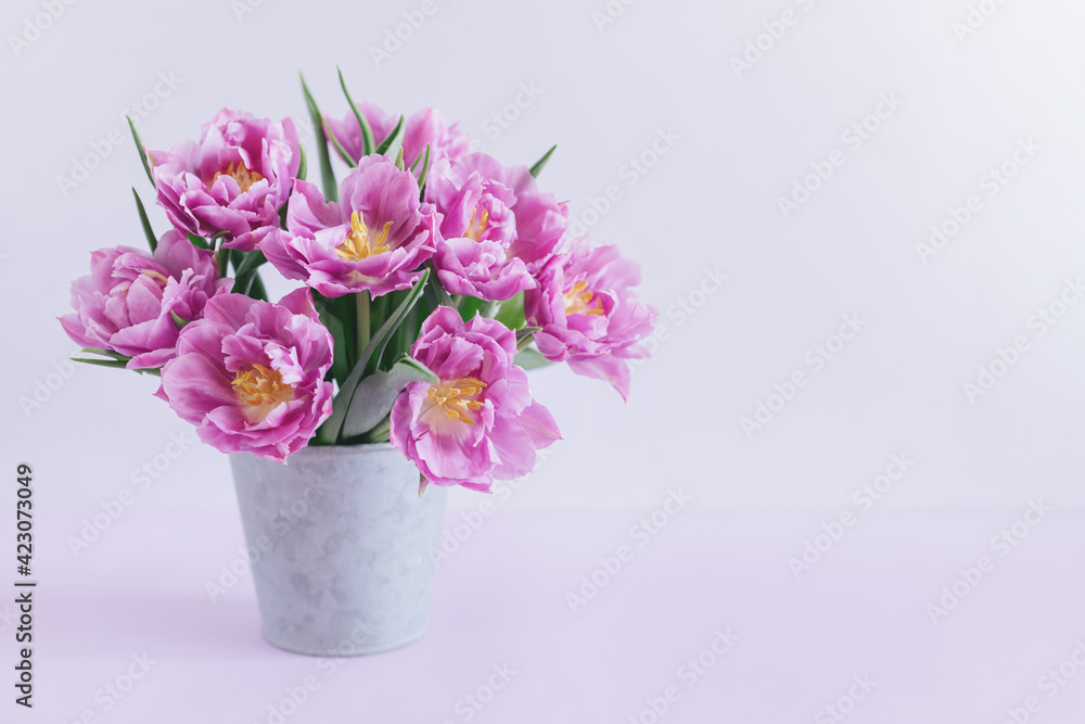 Tender violet tulips in a vintage pot on a pastel violet background. Greeting card for Women's day.