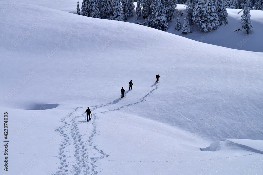 Céline, Ju, Frédéric et Marie traversant le plateau de l'Alpette dans l'épaisse neige Céline, Ju, Frédéric et Marie traversant le plateau de l'Alpette dans l'épaisse neige