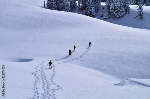 Céline, Ju, Frédéric et Marie traversant le plateau de l'Alpette dans l'épaisse neige