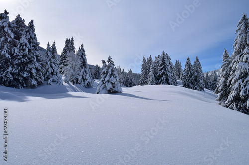 Paysage bien enneigé du plateau de l'Alpette sous la Combe des Arches © Alexis BORG