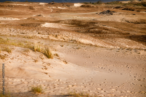 golden sand dunes with grass