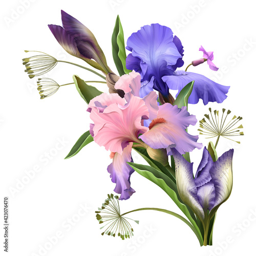 Fototapeta Naklejka Na Ścianę i Meble -  The composition of irises. Hand draw watercolor illustration. Set of different flowers for design.