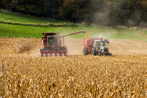 combine harvester working in a  Wisconsin corn field