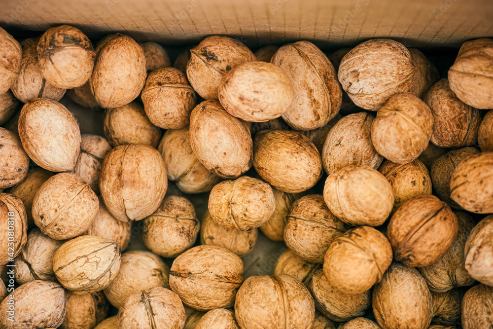 A lot of walnuts in cardboard box. A lot of walnuts in cardboard box.