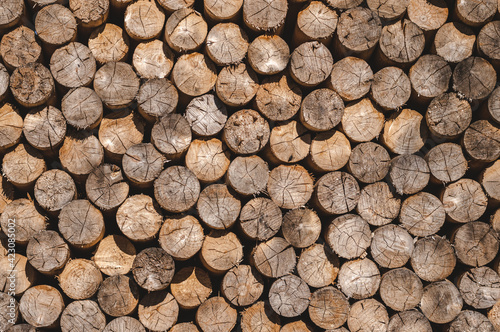 Stacked timber wood logs, abstract firewood background pattern