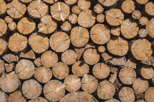 Stacked timber wood logs, firewood background pattern 