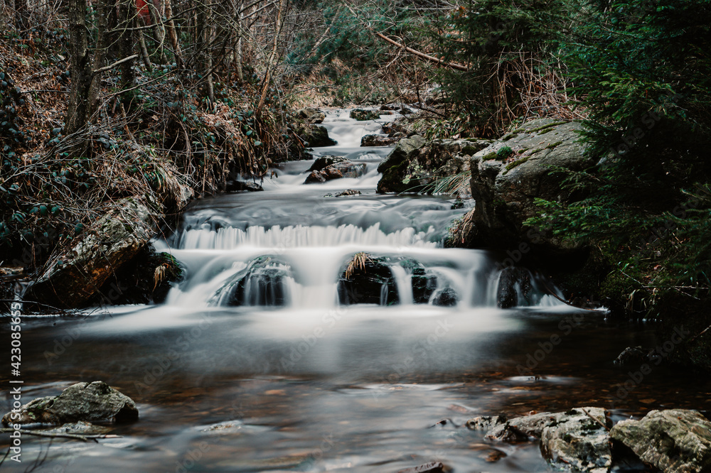 Naklejka premium la Sawe, courant fagnard