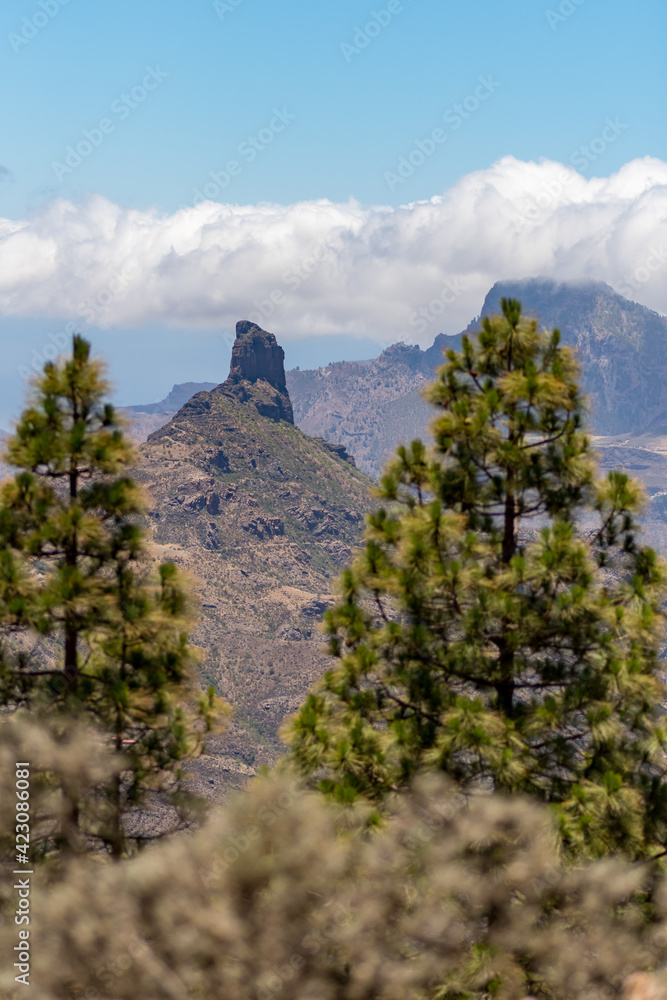 View through the pine trees on the right and left of the picture to Roque Bentayga in the mountains of Gran Canaria.