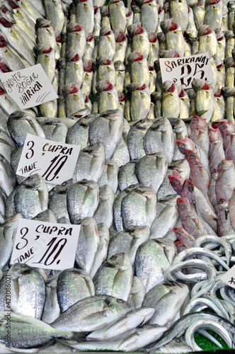 Clean fish are sold fresh at fish market, fresh various fish for sale photo