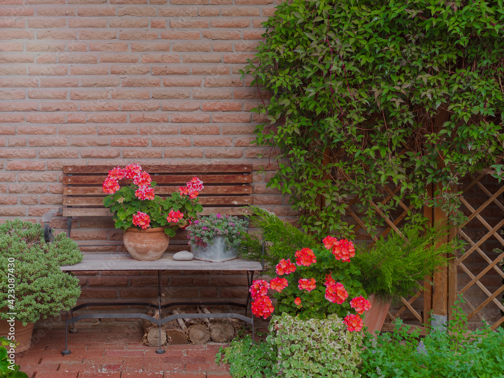 Naklejka premium flowers on a bench near the house