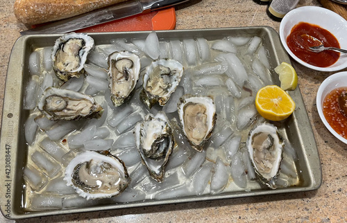 Oysters on the half shell with lemon and cocktail sauce. 