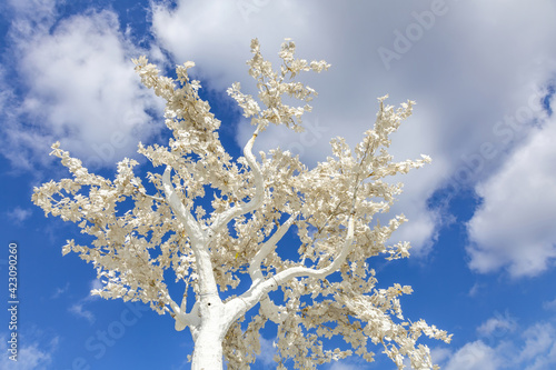 Unusual branches of a white decorative plastic tree against a bright blue cloudy sky