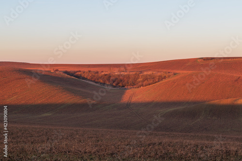 Beautiful spring wavy landscape at sunset. Waves of Moravian Tuscany in the Czech Republic.