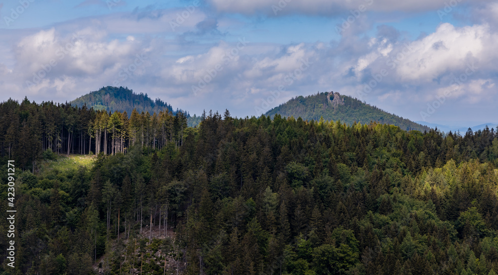 Panorama of Rudawy Janowickie mountains full of high trees at sunny day Panorama of Rudawy Janowickie mountains full of high trees at sunny day