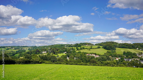 landscape with field and sky