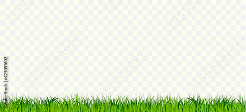 Grass Border Seamless, Green Tufts plants Horizontal row. vector