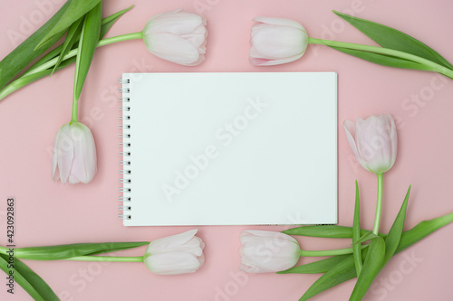 Top view or flat lay of purple and white tulip flowers and blank paper card on pink background with copy space for text. Feminine concept.