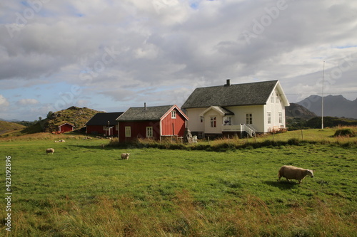  Les iles Lofoten Norvège