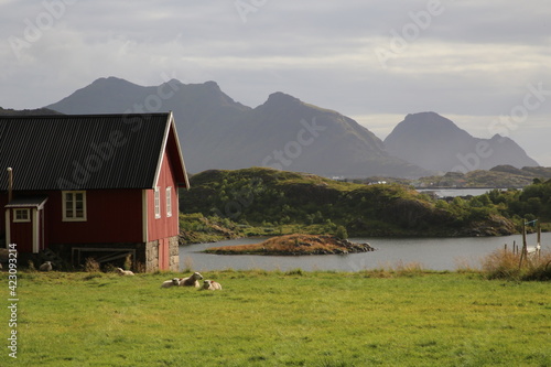  Les iles Lofoten Norvège