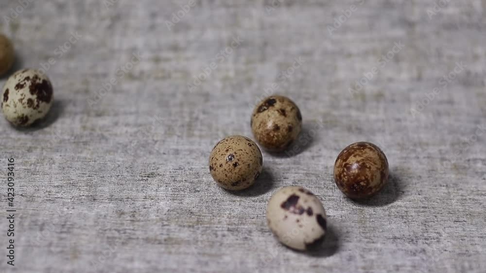 Close up of quail eggs slidding rolling on grayish background.Organic farming, natural still-life. Springtime, Easter