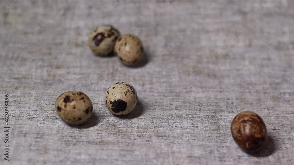 Close up of quail eggs slidding rolling on grayish background.Organic farming, natural still-life. Springtime, Easter Close up of quail eggs slidding rolling on grayish background.Organic farming, natural still-life. Springtime, Easter