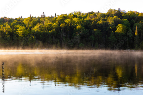 Wallpaper Mural brume matinale sur le lac au matin lors d'un lever de soleil une journée d'été Torontodigital.ca