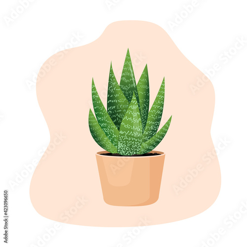 Indoor plant haworthia in a pot for interior decor at home, office, indoor use. Vector illustration isolated on white background. Trendy home decor with plants, urban jungle. Succulent