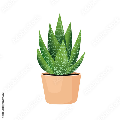 Indoor plant haworthia in a pot for interior decor at home, office, indoor use. Vector illustration isolated on white background. Trendy home decor with plants, urban jungle. Succulent
