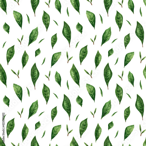 Watercolor pattern with leaves