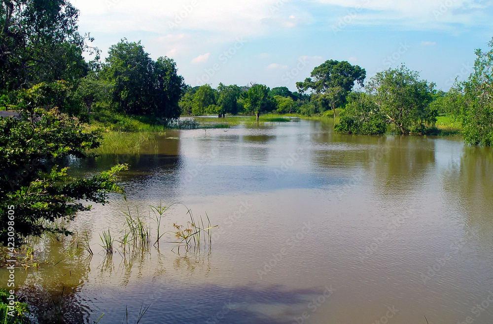 Yala National Park in the south of Sri Lanka Yala National Park in the south of Sri Lanka