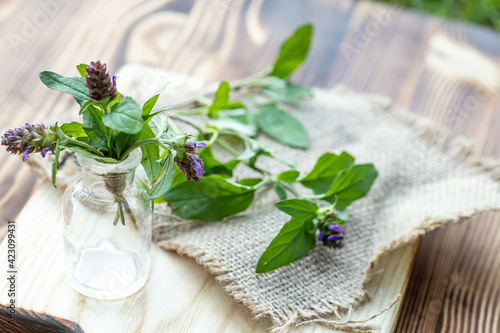 Prunella vulgaris, self-heal, carpenter's herb purple flower tincture on wooden cutting board ready for drying and making tea and infusions. Useful herb for use in cosmetology and alternative medicine