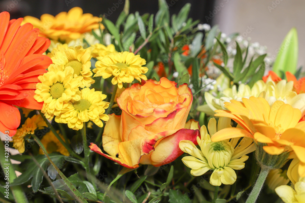Flowers, bouquet of flowers, postcard, place for your text. Flowers, bouquet of flowers, postcard, place for your text.