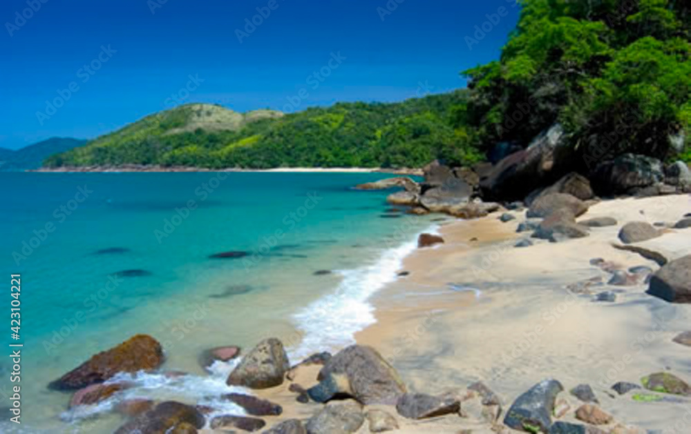 linda paisagem com pedras na praia