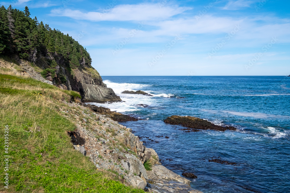 A rugged coastline with green grass, tall evergreen trees and rocky cliffs overlooking deep blue ocean water with waves crashing along the eroding edge of the coast. The sky is blue with white clouds.