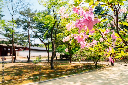 Spring of Jongmyo Shrine in Seoul, Korea