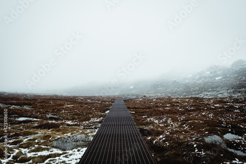 Moody atmospheric landscape of the Kosciuszko walking track in the Kosciuszko National Park. photo