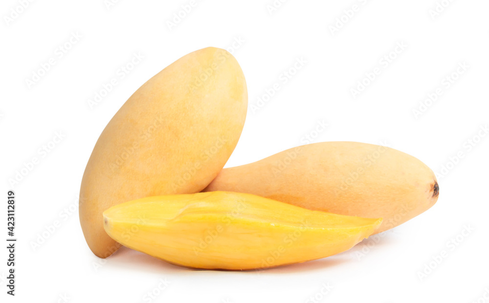 Yellow ripe mango ( Nam Dok Mai) of Thailand isolated on white background. Yellow ripe mango ( Nam Dok Mai) of Thailand isolated on white background.
