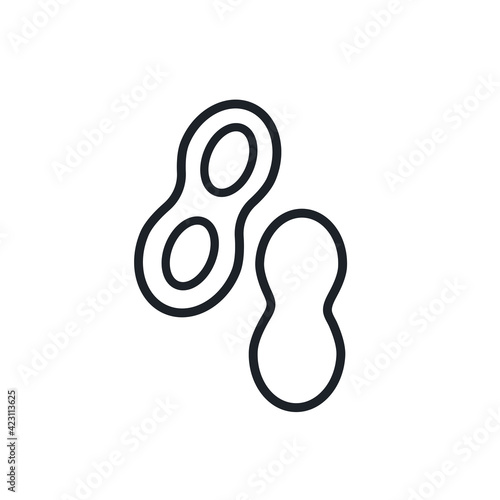 Peanuts icon. Vector linear icon, contour, shape, outline isolated on a white background. Thin line. Modern design. Nuts