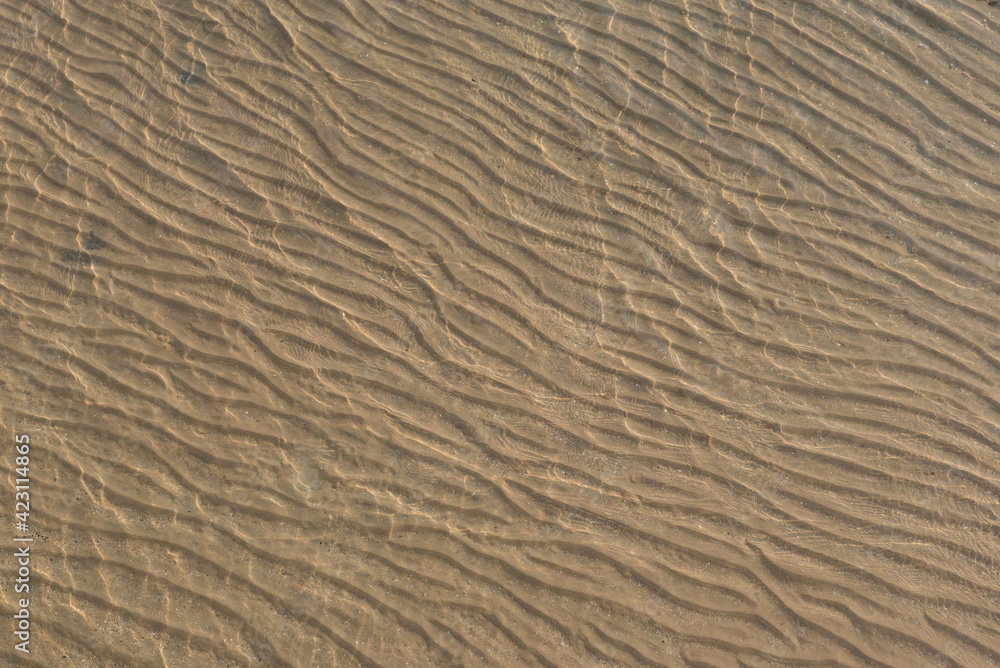 sand texture background.Sea water cover sand texture.A portion of picture blur due to sea wave. sand texture background.Sea water cover sand texture.A portion of picture blur due to sea wave.