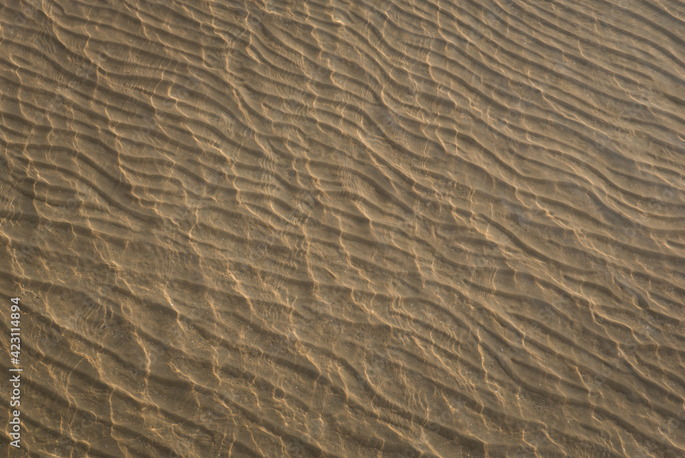 sand texture background.Sea water cover sand texture.A portion of picture blur due to sea wave. sand texture background.Sea water cover sand texture.A portion of picture blur due to sea wave.