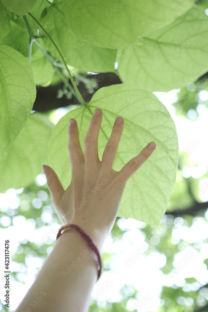 hand reaching leaf