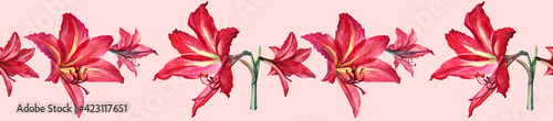 Seamless border watercolor bouquet tropical red lily and bud on pink background. Hand-drawn summer botanical illustration for card  celebration  wedding  birthday  wallpaper  wrapping  textile  gift
