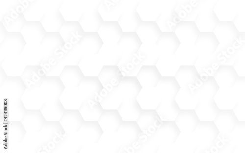 Embossed Hexagon , honeycomb white background. light and shadow. Vector.
